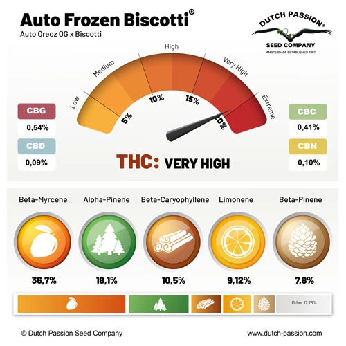 Auto Frozen Biscotti Cannabinoids & Terpenes 